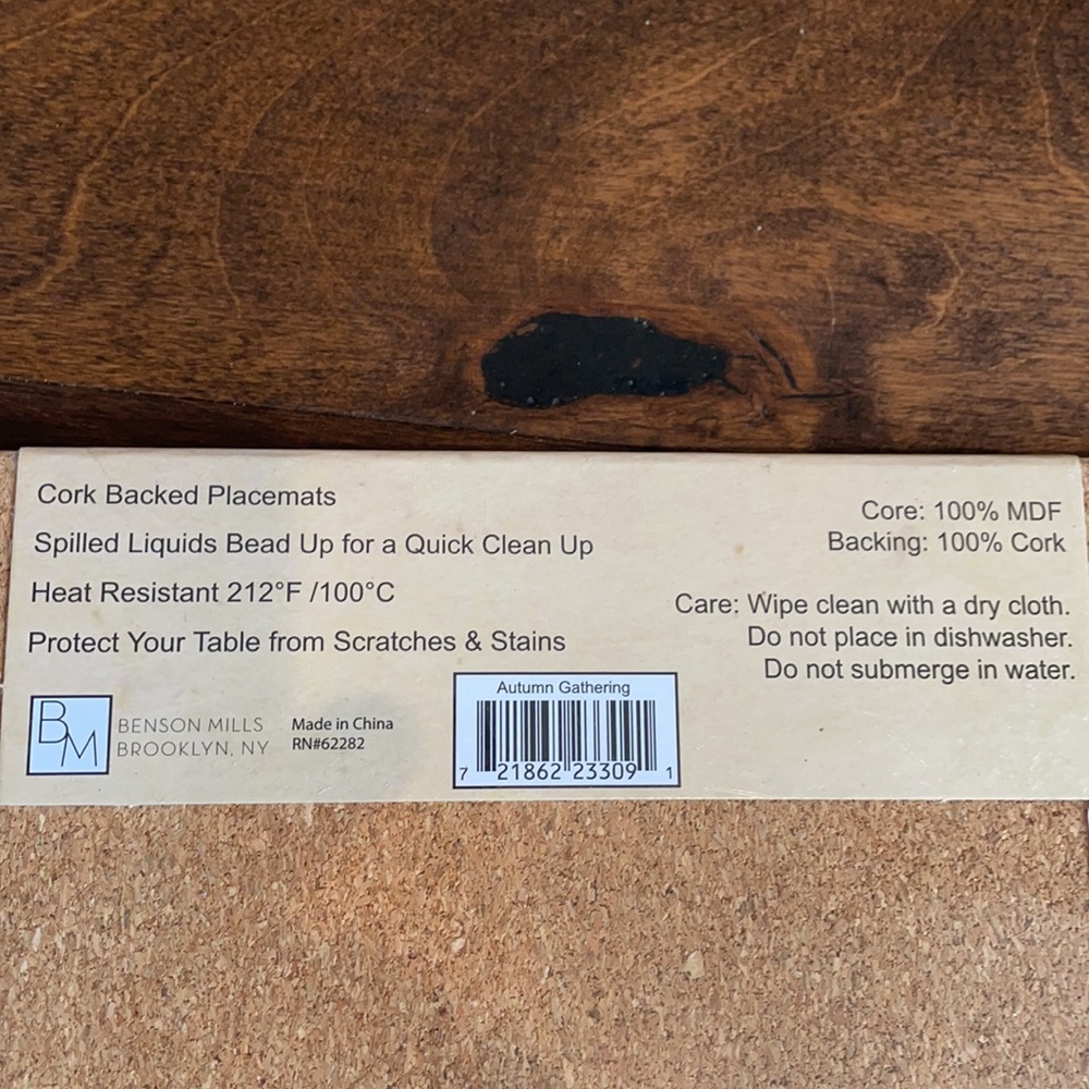 4 PLACEMATS CORK BACK FALL, LEAVES PUMPKINS - Picture 4 of 4